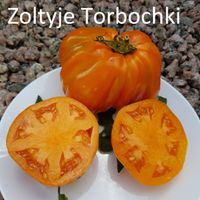 Zoltyje Torbochki